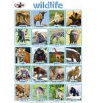 Chart Wildlife