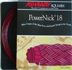 Powernick Squash String