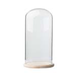 Glass Dome With Pine Base - 20X40CM