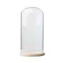Glass Dome With Pine Base - 20X40CM