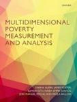 Multidimensional Poverty Measurement And Analysis Hardcover