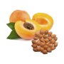 Apricot Kernel Natural Carrier Oil - 100 Ml - 10 Ml