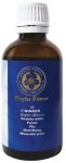Ginger Herbal Tincture