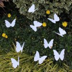 10PCS White 3D Butterfly Garden Stake Decorations Waterproof Pvc Butterfly For Wedding Decor Party Arrangement Indoor & Outdoor