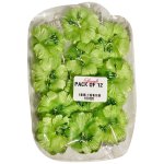 Light Green Flowers Pack Of 12 Non Edible