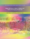 High Efficiency Video Coding And Other Emerging Standards Hardcover