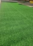 Artificial Grass 15MM Roll