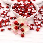 100PCS Wooden MINI Ladybugs Stickers 8X11MM Self Adhesive Red Painted Flatback Stickers For Diy Craft Project Scrapbooking Home