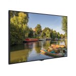 Finlux Lfd Pdm 43 1080P 24 7