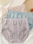 3PCS Contrast Lace Briefs Comfy & Breathable Scallop Trim Panties Women's Lingerie & Underwear