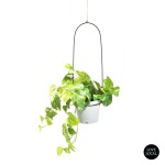 Bucket Hanging Metal Planter