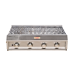 Jetmaster 1000 Gas Insert