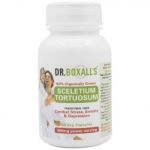Dr Boxall& 039 S Sceletium Tortuosum 200MG 60S