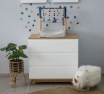 Charleston Compactum