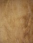 Faux Rabbit Fur Plain Camel Fabric