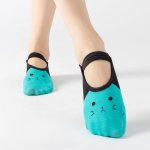 Crazy Cats Tantalising Turquoise