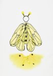 PoP Candy Novelty Dress Up Set - Black & Yellow