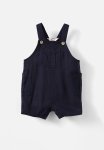 Cotton On Eddy Shortall - Navy Ink