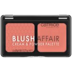 Catrice Blush Affair Cream Powder Palette 040