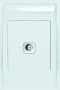 Sat/tv Outlet 2X4 C/w White Cover Plate