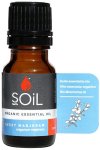 Majoram Essential Oil