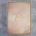 Blush Dreams 2 Art Print - A1 Framed Canvas With Natural Wood Frame