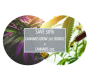 Course Combo: Cannabis Grow 101 Bundle & Cannabis 101 - 20TH Oct