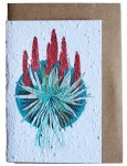 Greeting Card Aalwyn