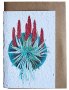 Greeting Card Aalwyn