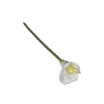 Arum Lily 70CM - White