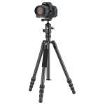 Vesta Go 234CB Carbon Fiber Travel Tripod With Veo BH-50 Ball Head