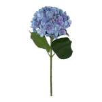 Blue Hydrangea Stem