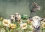 Diamond Painting Full Round Drill Diy KIT_33CM X 43CM Sheep G3687