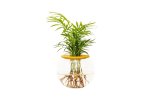 10CM Fishbowl With Love Palm