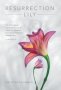 Resurrection Lily - The Brca Gene Hereditary Cancer & Lifesaving Whispers From The Grandmother I Never Knew   Hardcover