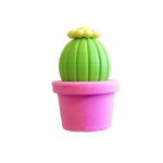 Cactus Eraser