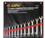 Ampro - 12PC Combination Wrench Set 6 - 19MM