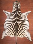 A Grade Zebra Hide 035 L