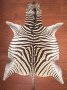 A Grade Zebra Hide 035 L