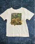 H&m White Triceratops T Shirt 5 6Y