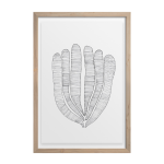 Algae Art Print - A3 297 X 420MM Framed - Natural Frame
