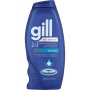 Gill Anti-dandruff 2-IN-1 Conditioning Shampoo Dry Scalp 400ML