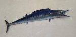 Wahoo 147CM Large