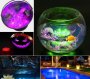 Remote Control Submersible LED Floating Light