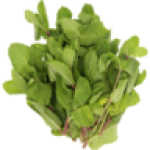 Mint Bunch