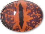 Red Animal Eye Jibbitz - Multi Osfa