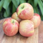 Heirloom Foods – Organic Apples 1KG Royal Gala
