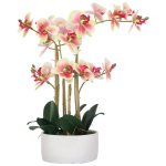 Sunset Real Touch Orchid In Planter
