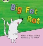 Phonics Bug Set 05 Big Fat Rat Paperback