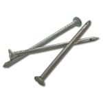 Nail Clout Semi 25X2MM - 75G